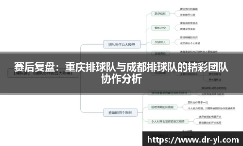赛后复盘：重庆排球队与成都排球队的精彩团队协作分析